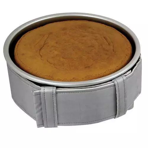 Backgürtel