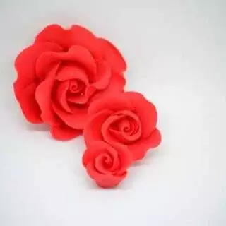 Zuckerblumen