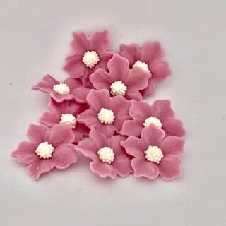 Geranien-Set, 10tlg., Rosenlila - Zuckerblumen