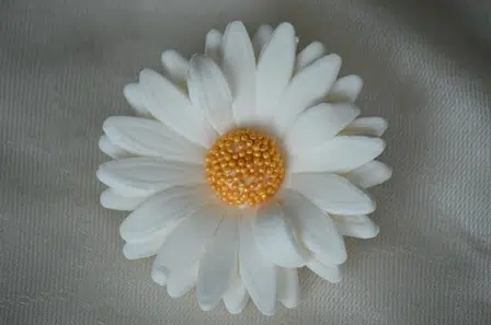 Margeriten-Set, 5tlg., Zuckerblumen