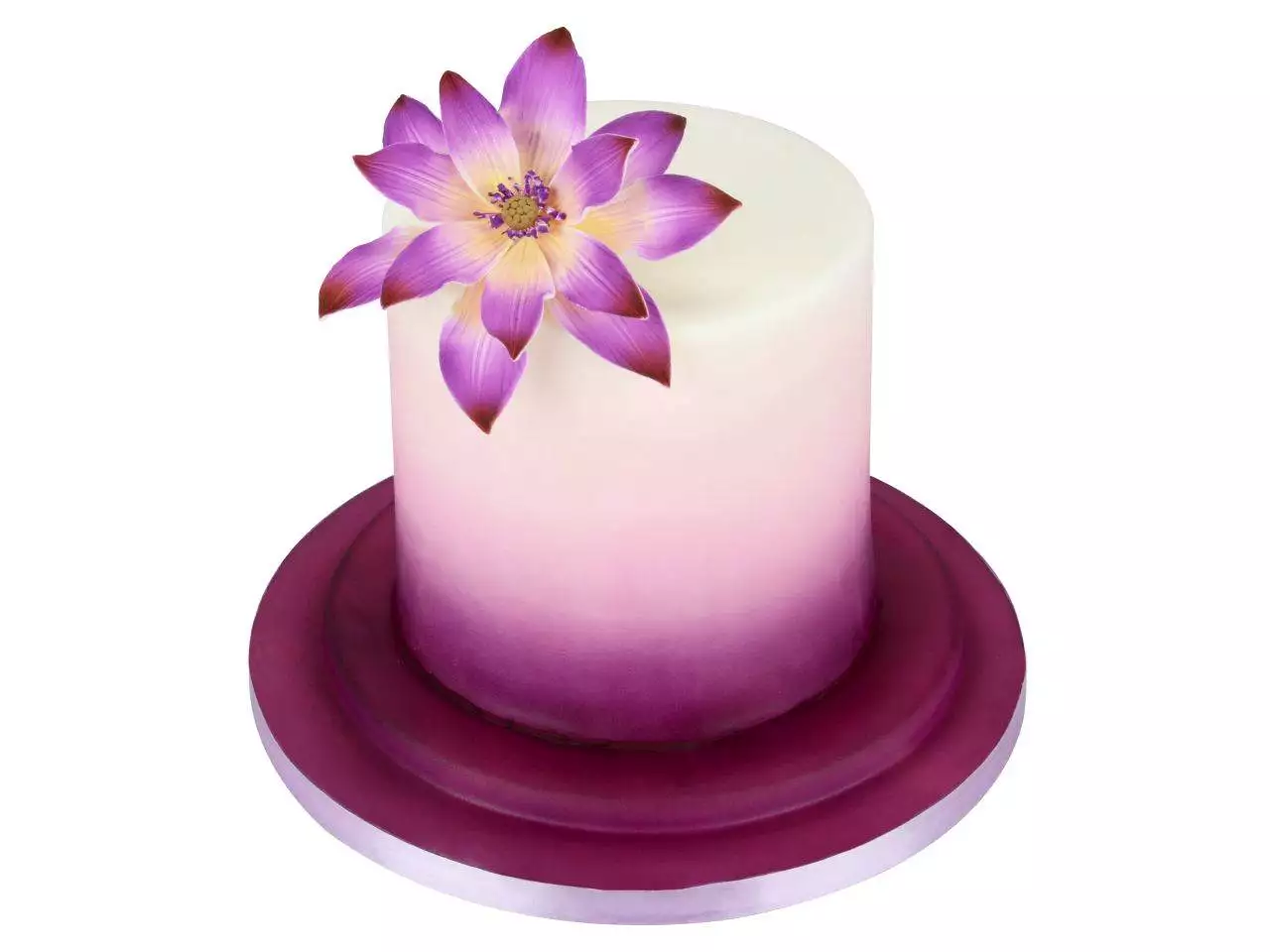 Puderpinsel - Cake Masters – Bild 2