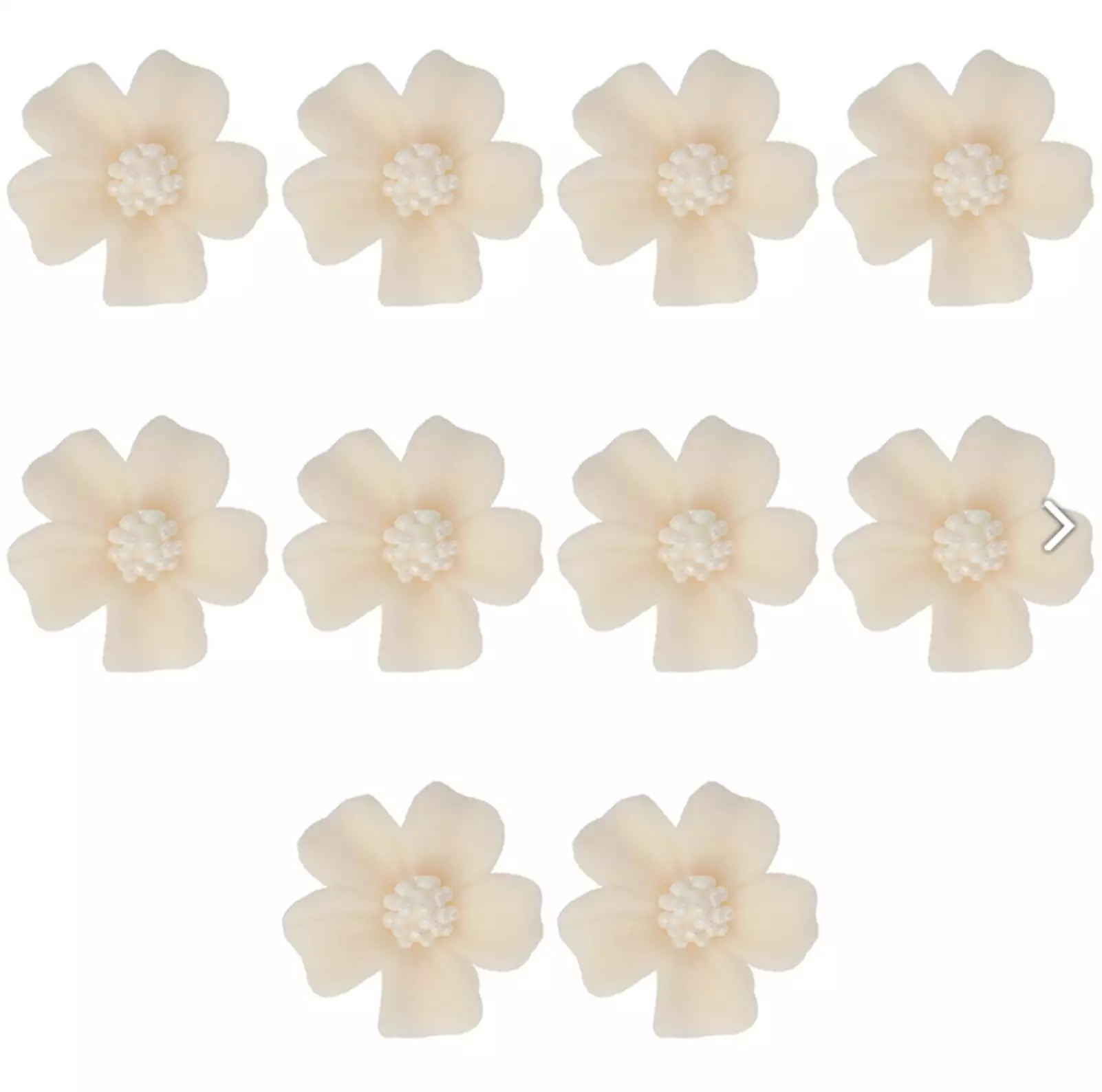 Ecru - Vergissmeinnicht, 10tlg., Zuckerblumen