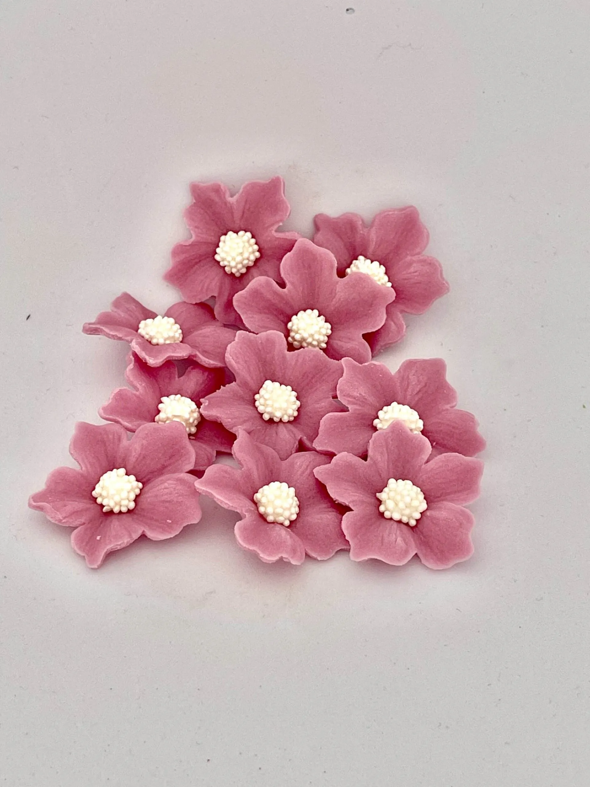 Geranien-Set, 10tlg., Rosenlila - Zuckerblumen