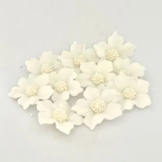 Geranien-Set, 10tlg., Weiß - Zuckerblumen
