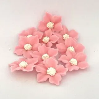 Geranien-Set, 10tlg., Rosa - Zuckerblumen