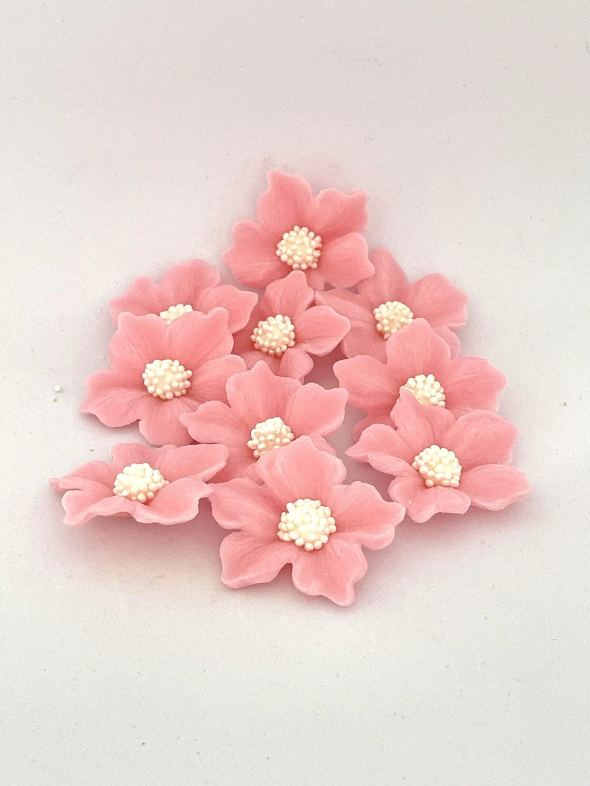 Geranien-Set, 10tlg., Rosa - Zuckerblumen