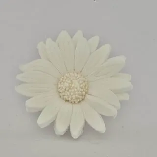 Margeriten-Set, 5tlg., Zuckerblumen - weiß