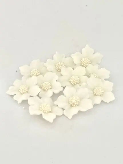 Geranien-Set, 10tlg., Weiß - Zuckerblumen