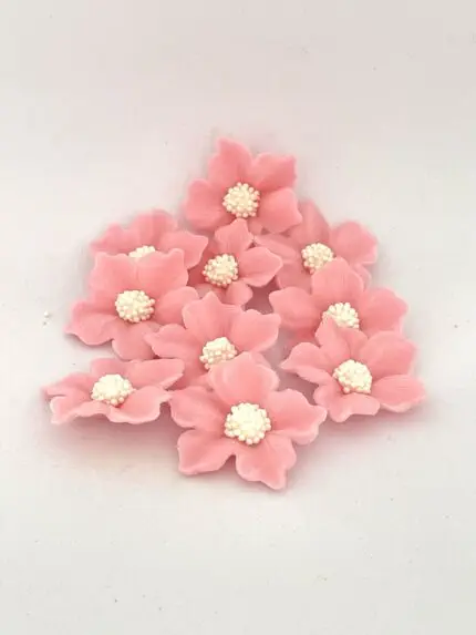 Geranien-Set, 10tlg., Rosa - Zuckerblumen