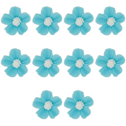 Hellblau - Vergissmeinnicht, 10tlg., Zuckerblumen