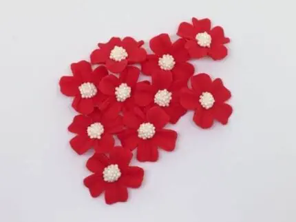 Rot/Weiß - Vergissmeinnicht, 10tlg., Zuckerblumen